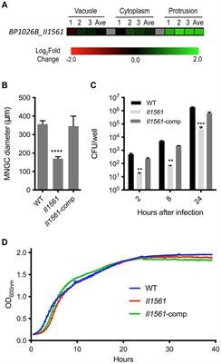 TetR-like regulator BP1026B_II1561 controls aromatic amino acid biosynthesis and intracellular pathogenesis in Burkholderia pseudomallei